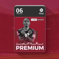 تجديد بي ان مصري باقة التميز (بريميوم)