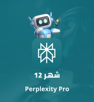 اشتراك Perplexity Pro | بربلكستي برو سنة