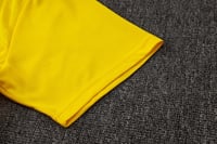 طقم تدريب صيفي دورتموند 2024-2025 اصفر