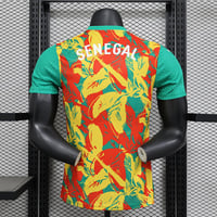 طقم منتخب السنغال تدريبات 2024-2025