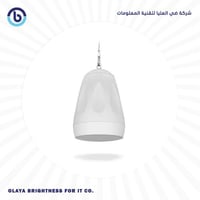 HIPOWER PENDENT SPEAKER LDQ004 WHITE 20W