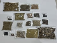 بكج التوفير حجم كبير 19 نوع من انواع النباتات البر...