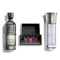 مجموعة دينجرس اروجيت ونوماد - عساف