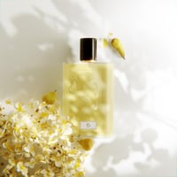 عطر رقم 5 - ناصر الدايل