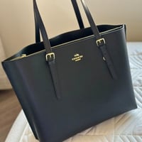 coach ( كوتش مولي اسود ) لارج