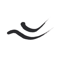 كحل عيون سائل مقاوم للماء من ايسنس - 01 Black