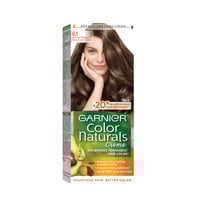 صبغة كولور ناتشرلز كريم من غارنييه - اشقر رمادي غا...