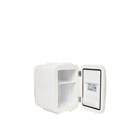 ثلاجة صغيرة لمستحضرات التجميل 4 لتر مع تبريد وتدفئ...