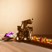 عطر ايليش من بيلي ايليش - او دي برفيوم - 100 مل