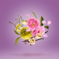 عطر كازوماراتي لاتوسكا من زيرجوف - او دي برفيوم -...