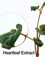 انوا لوشن يومي هارتليف 70% - 200مل