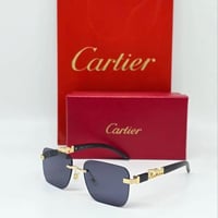 نظارة كارتير