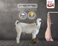 ذبيحة تيس كيني