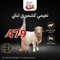 نعيمي كشميري لباني