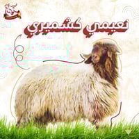 نعيمي كشميري لباني