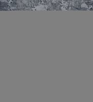 اقلام مونت بلانك -MONT BLANK