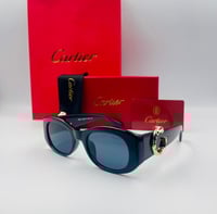 نظارات كارتير 2-الوان