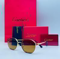 نظارات كارتير 4-الوان