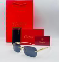 نظارات كارتير 2-الوان