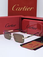 نظارات كارتير 4-الوان