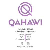 اظرف ﻛﻮﻟﻮﻣﺒﻴﺎ - لامونتانا