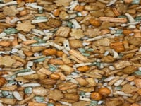 مكسرات ياباني مشكل بارد