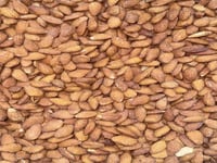 لوز امريكي محمص مملح