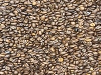 قهوة تركي وسط وزن