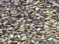 مكسرات مشكل مدخنة بارد