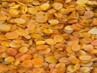 مشمش تركي جامبو وزن