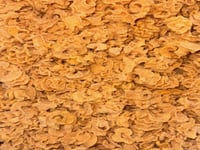 مكسرات ياباني مشكل بارد