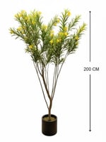 شجرة "أولياندر" الذهبية الفاخرة - ارتفاع 2 متر