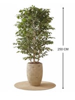 شجرة فايكوس صناعية بجذع طبيعي (2.50 متر) بحوض فايب...