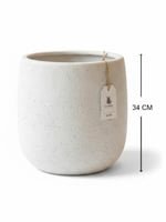 طقم مركن "سنو"طقم مراكن زخرفية "سنو وايت" 34 سم –...