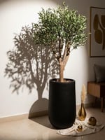 شجرة زيتون صناعية بجذع طبيعي - حوض فايبر