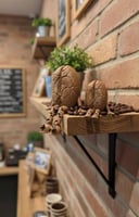 انسه بنه حجم صغير