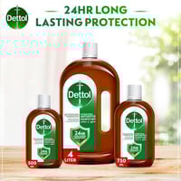 Dettol Anti Bacterial & Antiseptic Disinfectant Li...