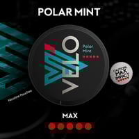 أظرف نيكوتين فيلو بولار منت ماكس 14 نيكوتين – VELO...