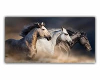 لوحات فنية جداريه لمجموعة خيول العربية