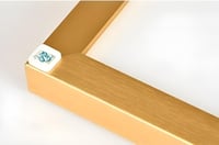 ريشة كبيرة باللونين الأبيض والرمادي مع لمسات ذهبية...