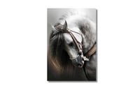 لوحة فنية جدارية كانفس تصور حصانًا أبيض بلجام.