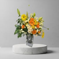 فازة التالق