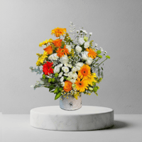 فازا الهدوء