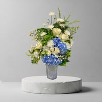 فازا المولود 2