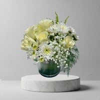 فازا الرسمي