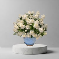 فازا الجوري المتفتح بالطريقة الجديدة