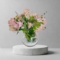 فازا الاستوموريا