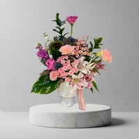 فازا المولوده 1