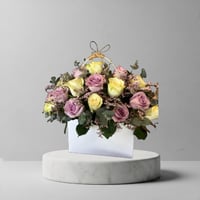 حقيبة الأعتذار