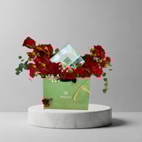 كيس الباتشي